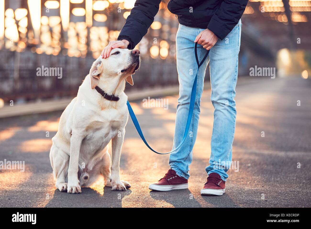Passeggiata mattutina con il cane. giovane con il suo labrador retriever sul ponte di ferro al sunrise. Foto Stock