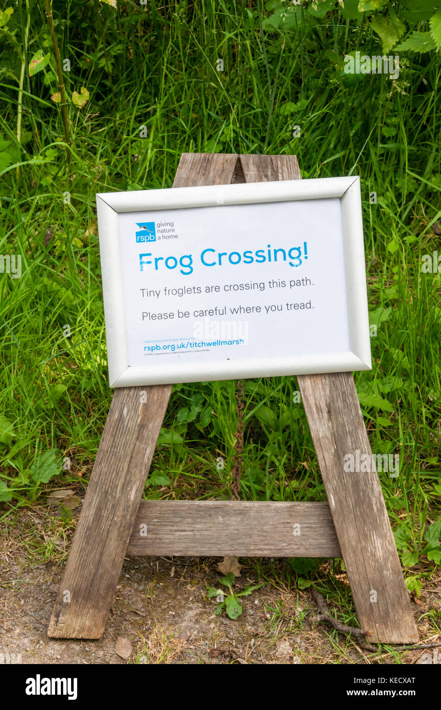 Un segno a RSPB Titchwell Marsh mette in guardia i visitatori di essere attenta di baby rane o froglets attraversando il percorso. Foto Stock