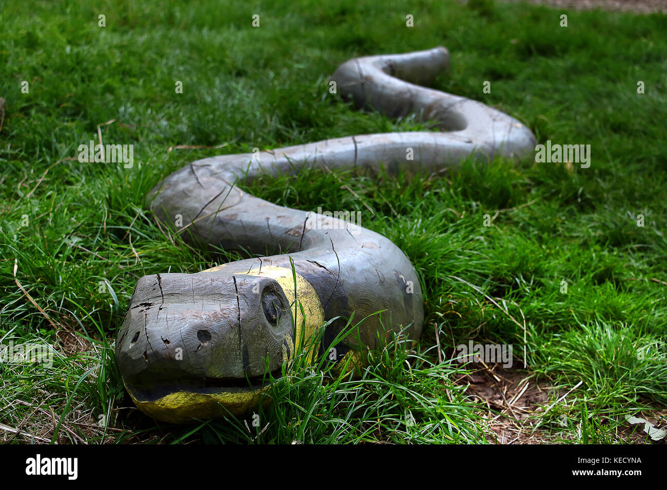 Scolpita in legno serpente in erba Foto Stock
