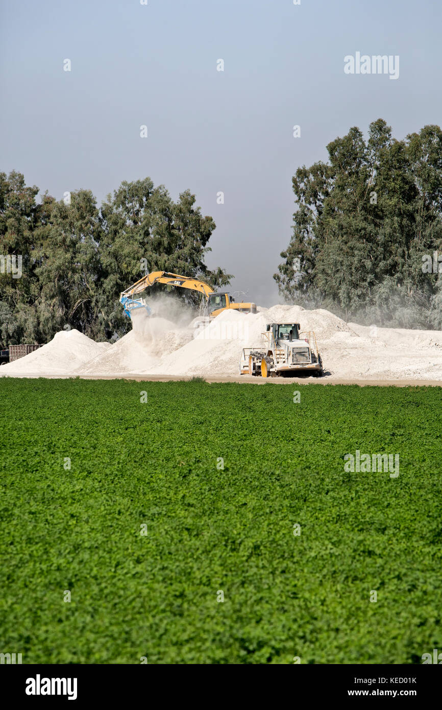 Caterpillar 320C il trattore, braccio oscillante, riciclaggio usato sheetrock pannellatura. Foto Stock