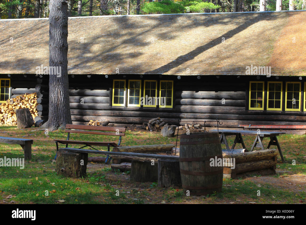 Una splendida capanna in legno nel bosco circondata dalla natura nel nord del Michigan, Stati Uniti Foto Stock