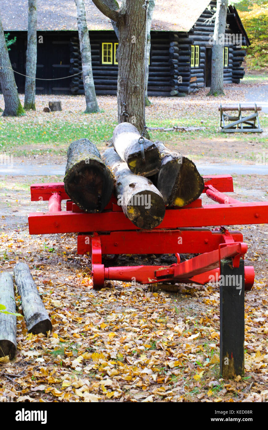 Una splendida capanna in legno nel bosco circondata dalla natura nel nord del Michigan, Stati Uniti Foto Stock