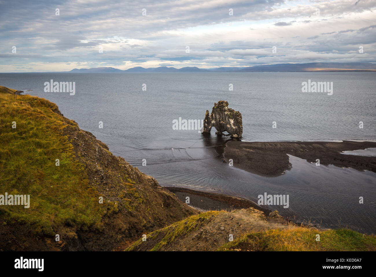 Hvítserkur è una alta 15 m basalto pila lungo la costa orientale della penisola di Vatnsnes, nel nord-ovest dell'Islanda. Foto Stock