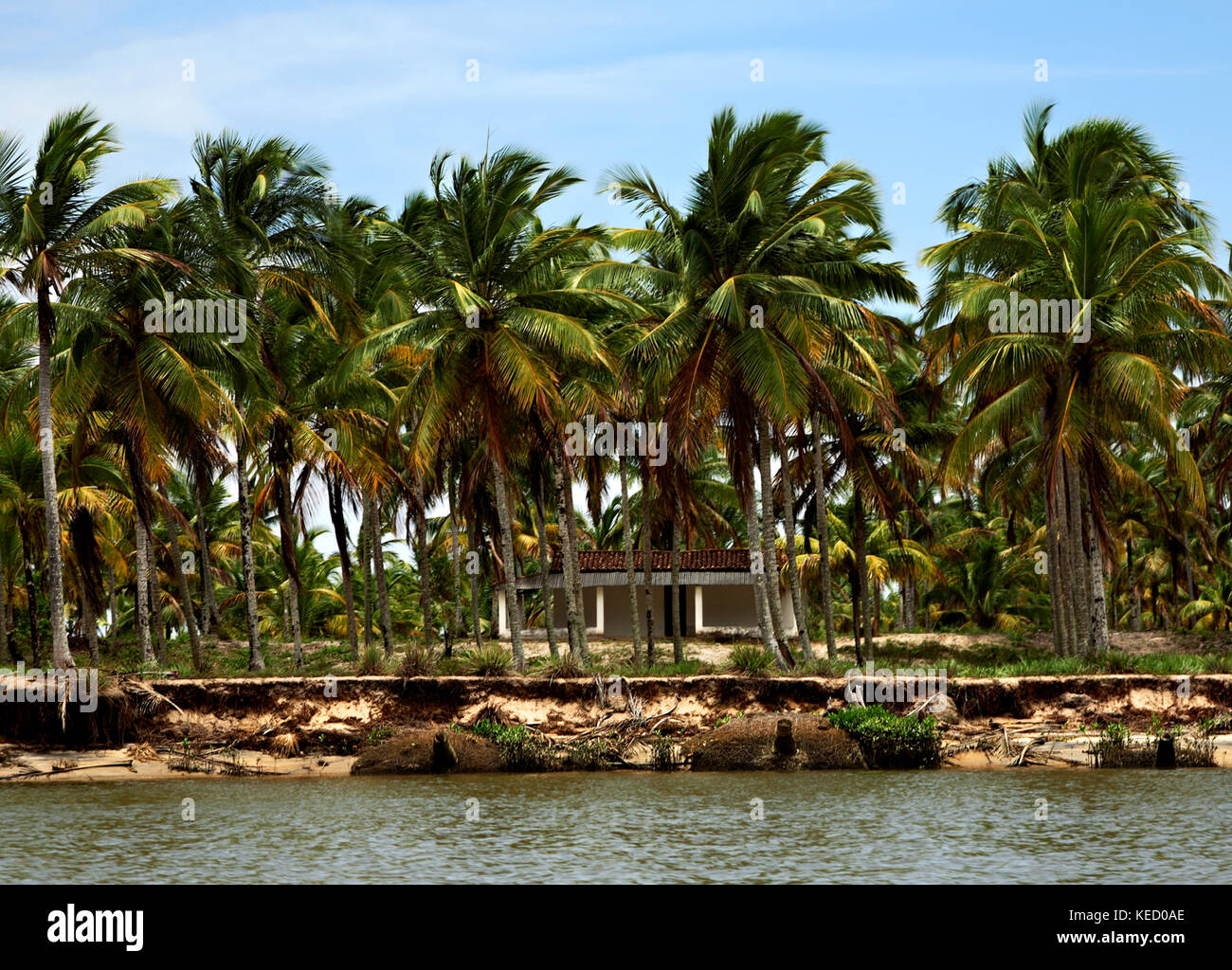 Paesaggio fluviale nel sud di ilha atalaia, canavieiras, Bahia, Brasile, Sud America Foto Stock