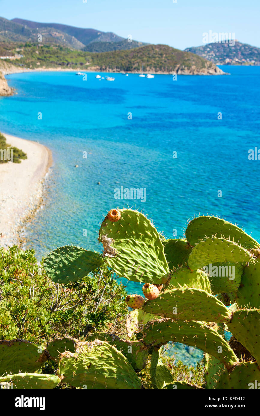 Una veduta aerea della Canaleddus è la spiaggia e il mare mediterraneo in Sardegna, Italia, con la spiaggia di Mari Pintau in background Foto Stock
