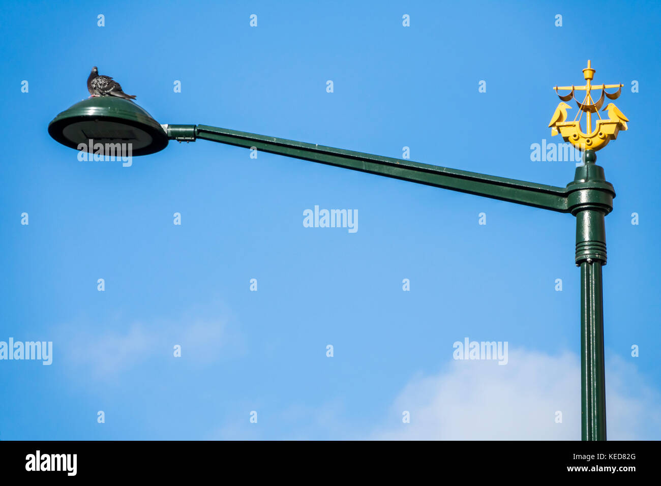 Lisbona Portogallo,lampada post,luce di strada,stemma,nave,paradisi,piccione,ispanico,immigrati immigrati,portoghese,PT170629025 Foto Stock