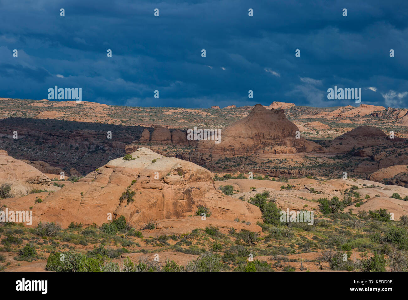 Pietrificate dune di sabbia del Parco Nazionale di Arches, Utah, Stati Uniti d'America Foto Stock