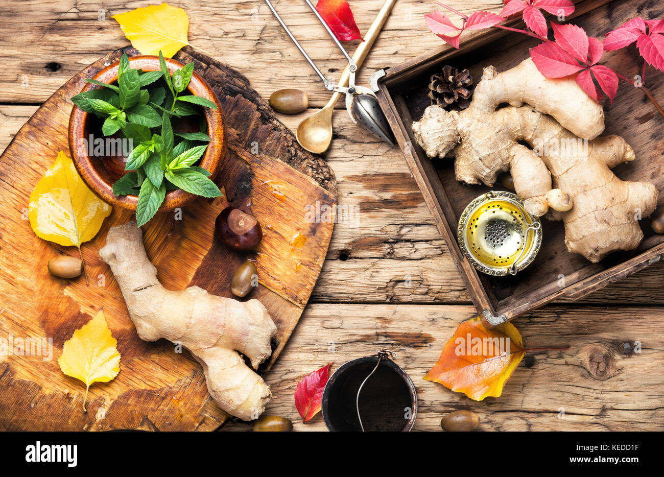 Radice di Zenzero e medicina naturale ingredienti per tè medicinali e tinture Foto Stock