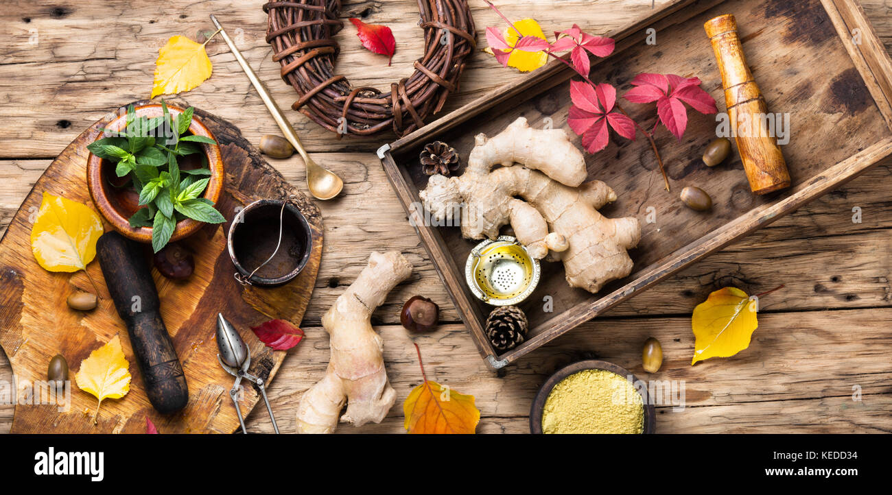 Radice di Zenzero e medicina naturale ingredienti per tè medicinali e tinture Foto Stock