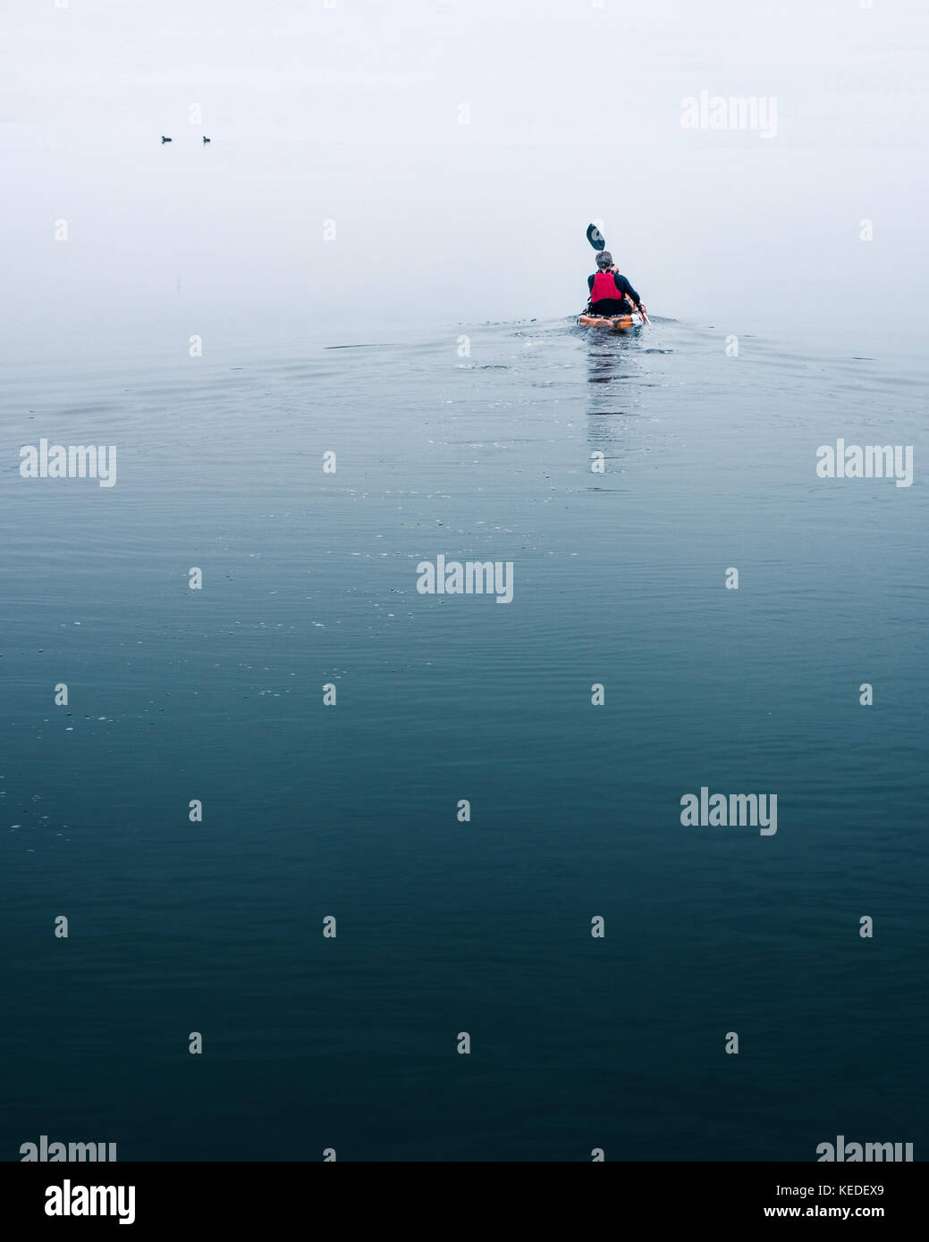 Blu acqua calma nel fiume di Port Fairy, una solitaria kayaker Piastre non applicate nella distanza Foto Stock