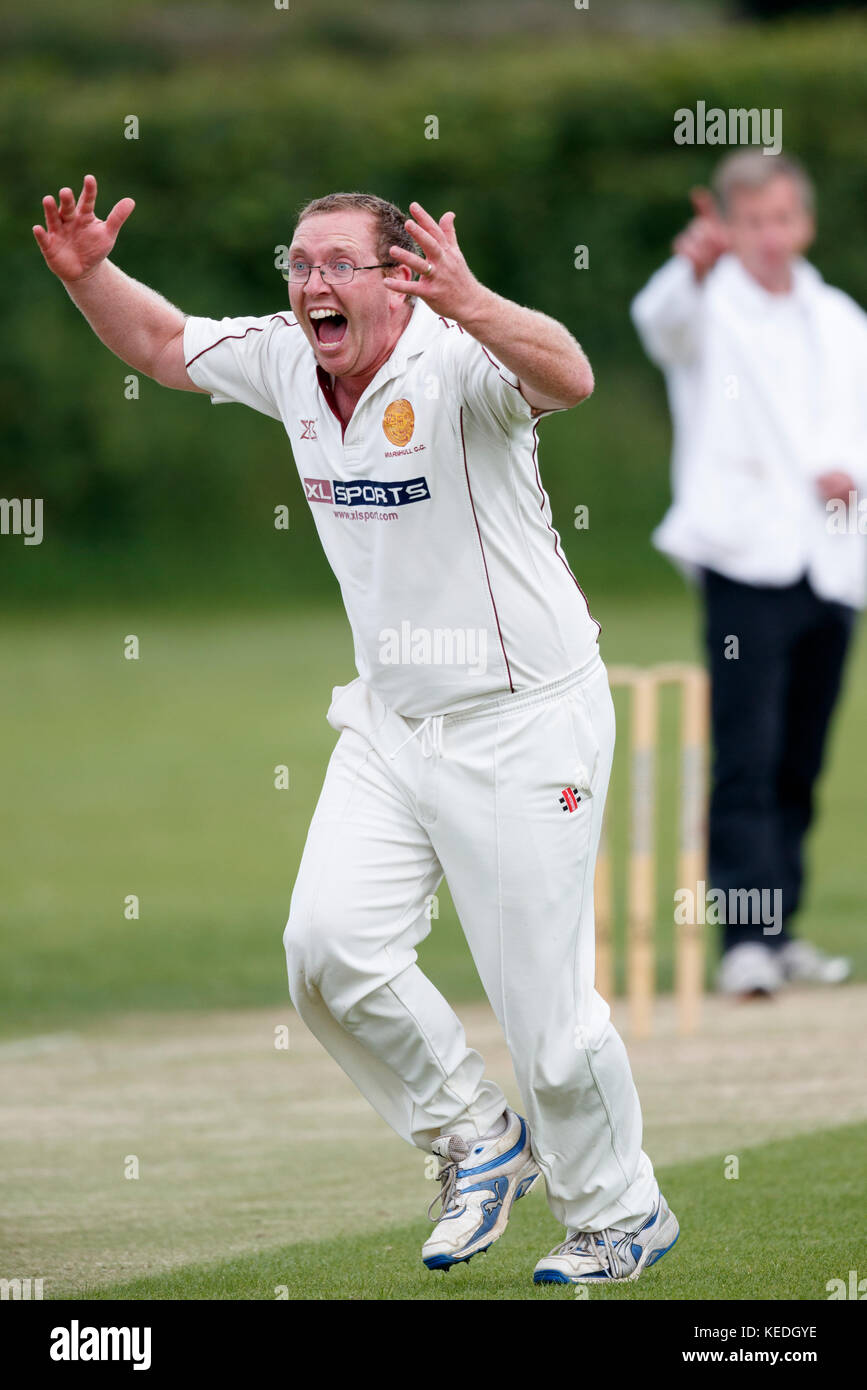 Shillingstone CC 1XV vs Marnhull CC 1XV - Dorset - Inghilterra. Bowler celebrando lbw decisione. Foto Stock