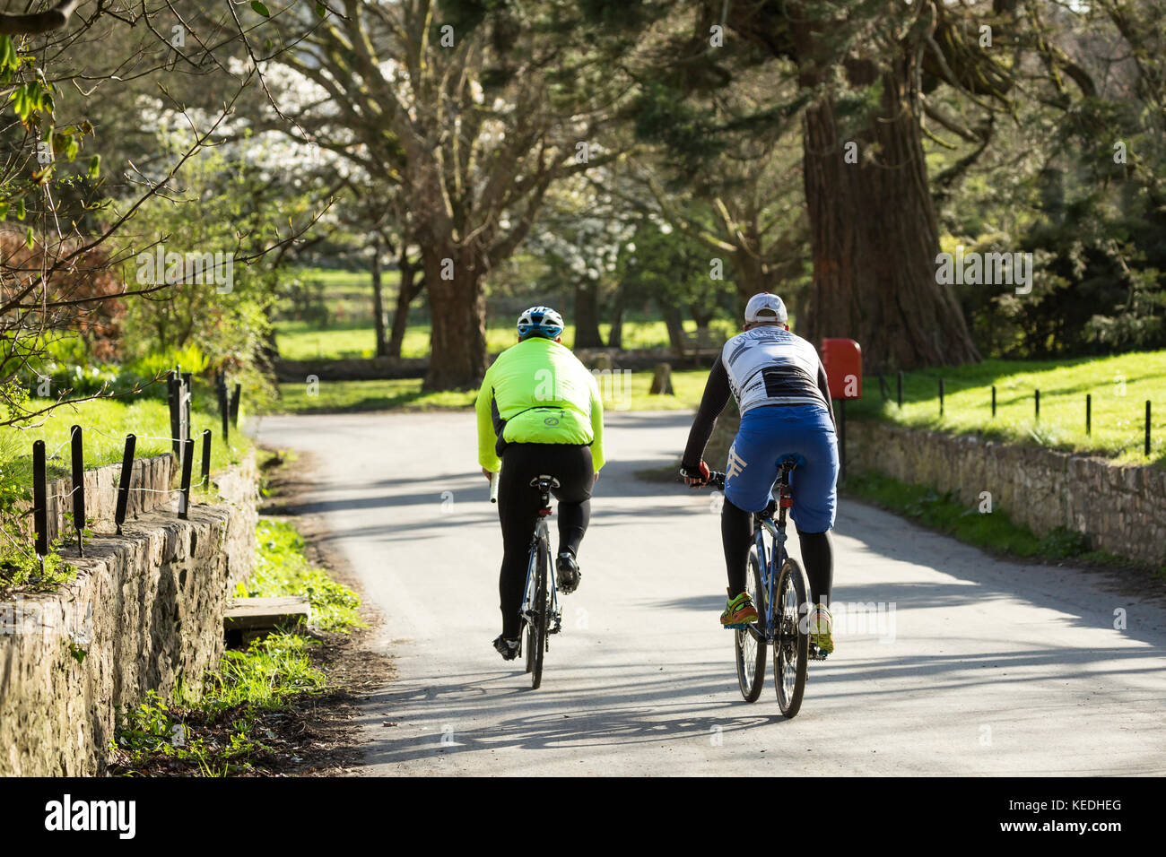 I ciclisti sulla corsia di paese ride nella luce del sole Foto Stock