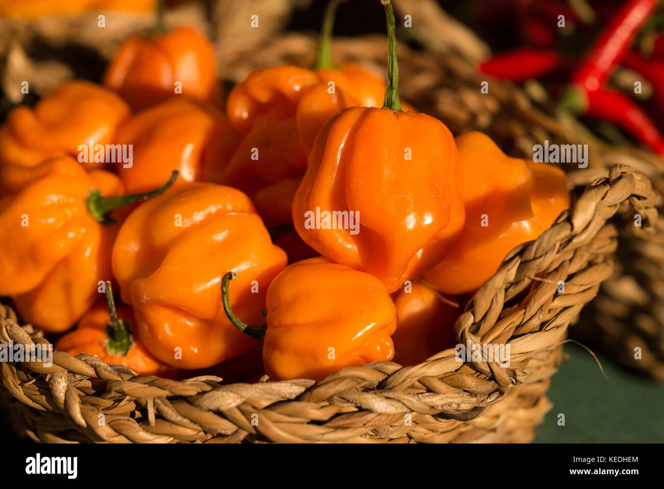 Hot peperoncino peperoni sul mercato degli agricoltori Foto Stock