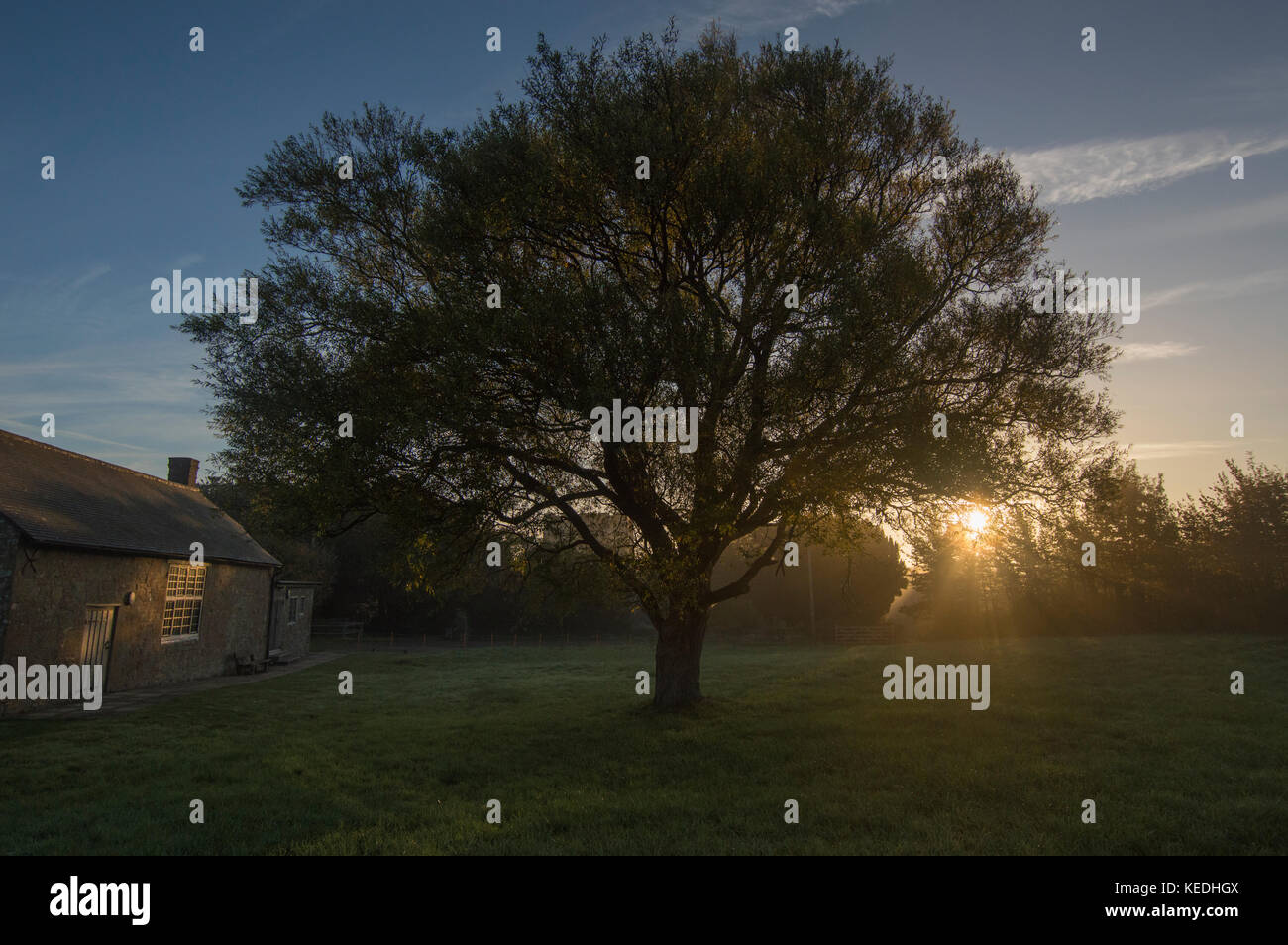 La mattina presto i raggi di sole che splende attraverso gli alberi, nitido e freddo alba - foto Foto Stock