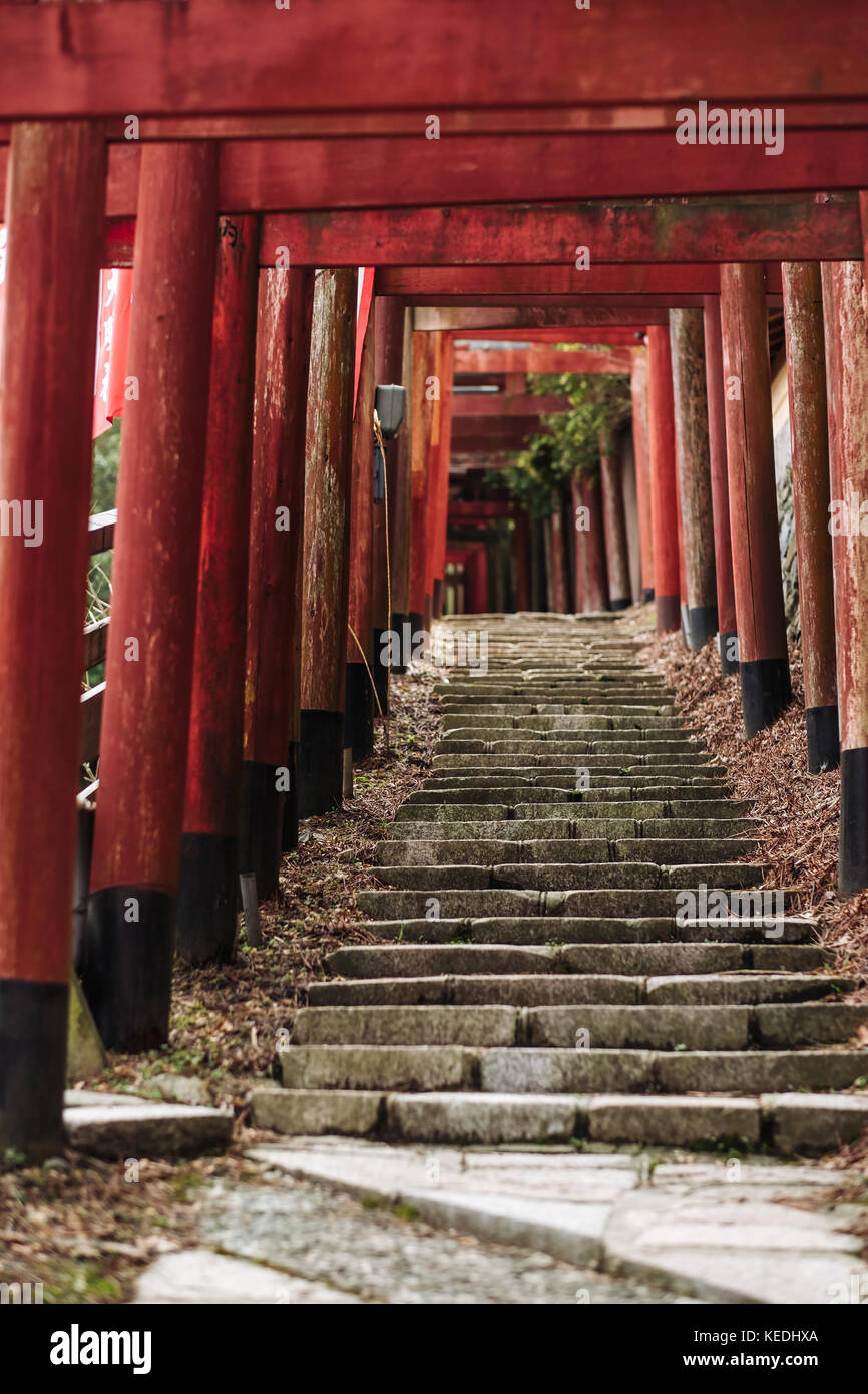 Koyasan, il Giappone più sacri monti Foto Stock
