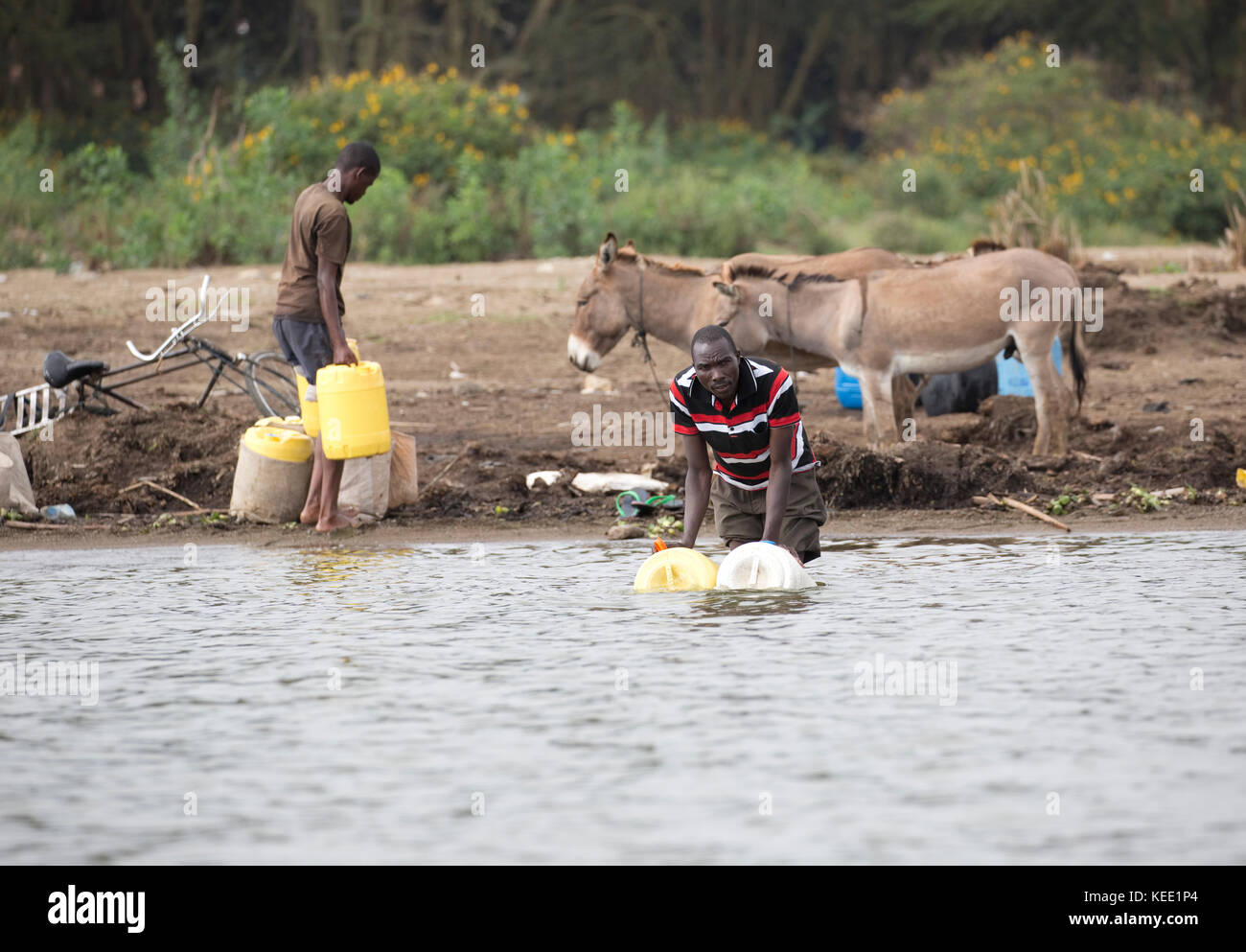 Gli uomini africani e gli asini per la raccolta delle acque del lago Naivasha kenya Foto Stock