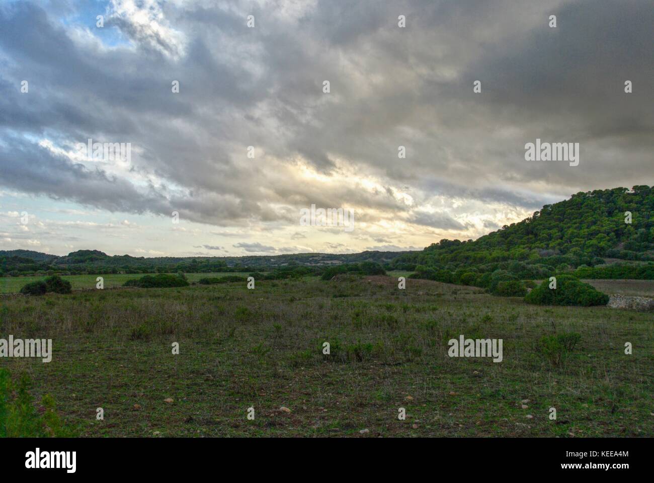 Minorca vista sulla campagna Foto Stock