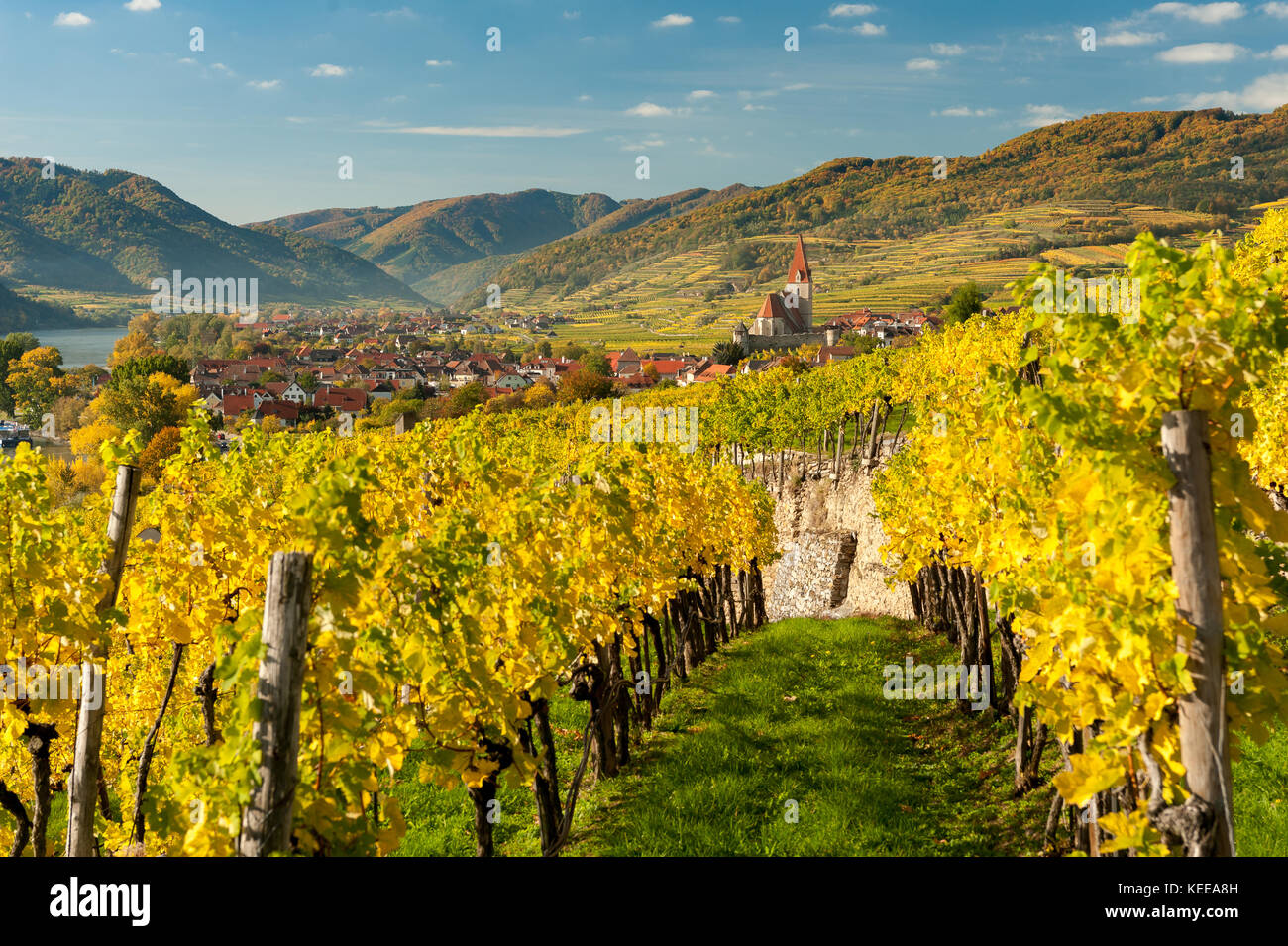 Weissenkirchen Wachau Austria in autunno foglie colorate e vigneti in una giornata di sole Foto Stock