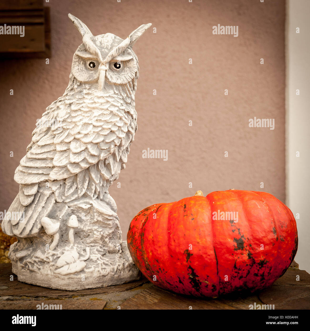 Primo piano di una zucca e una figurina di un gufo Foto Stock