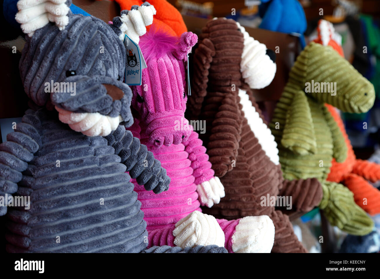 Visualizzazione di animali imbalsamati, scarti di magico (tessuti e abbigliamento per bambini store), Breckenridge, Colorado, STATI UNITI D'AMERICA Foto Stock