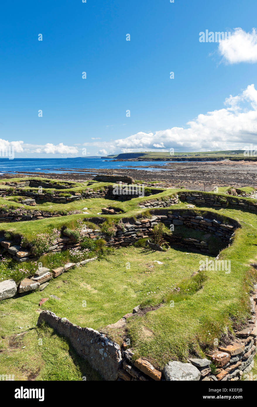 Resti di un insediamento vichingo dalla intorno al 1000, Brough di Birsay, Continentale, Orkney, Scotland, Regno Unito Foto Stock