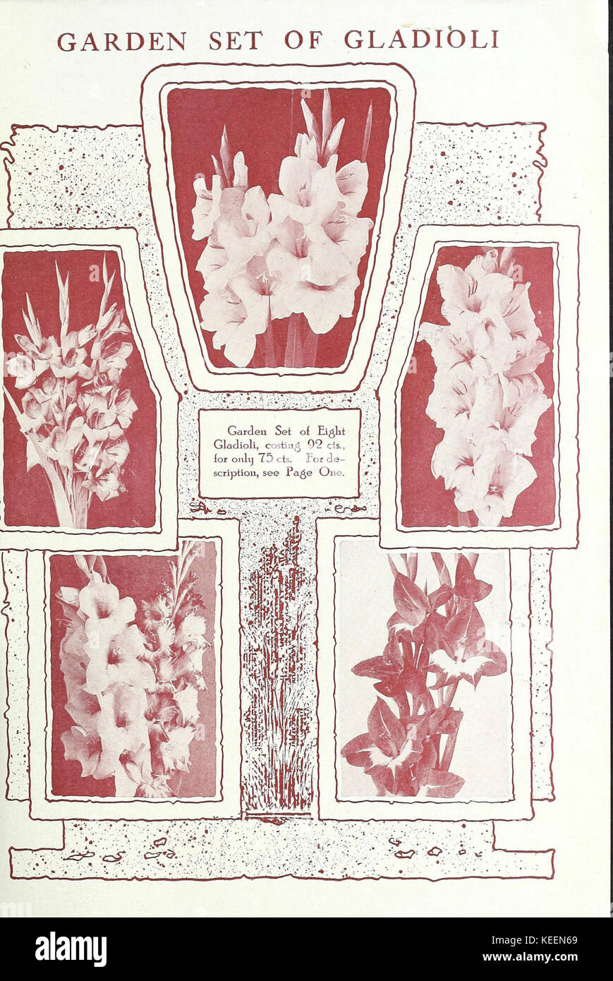 Il fiorista donna Miss Ella V. Baines Springfield, Ohio (15712076224) Foto Stock
