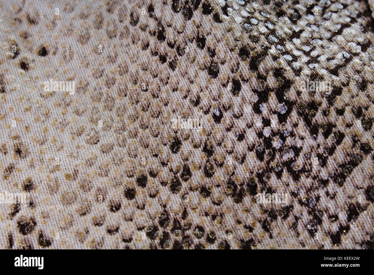 Tessuto, tela design sfondo dello sfondo. Tessuti moda come sfondo. Vestiti pattern texture closeup photo. Foto Stock