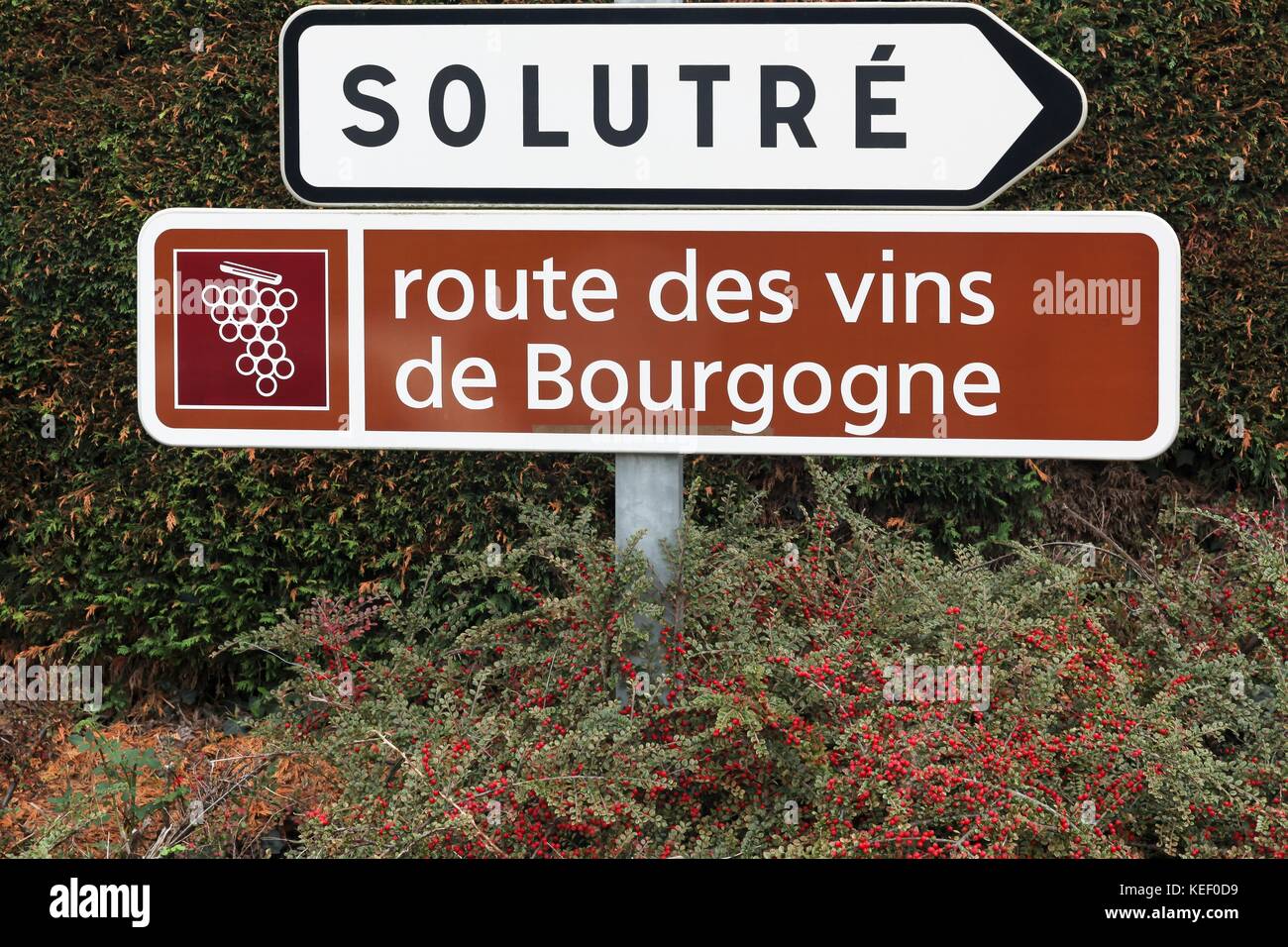 Strada del vino Borgogna segno, Francia Foto Stock