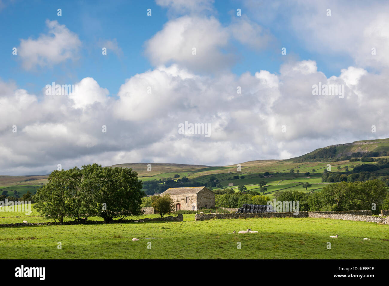 Splendida campagna inglese e su un soleggiato settembre giornata. terreni agricoli in wensleydale, Yorkshire Dales. Foto Stock