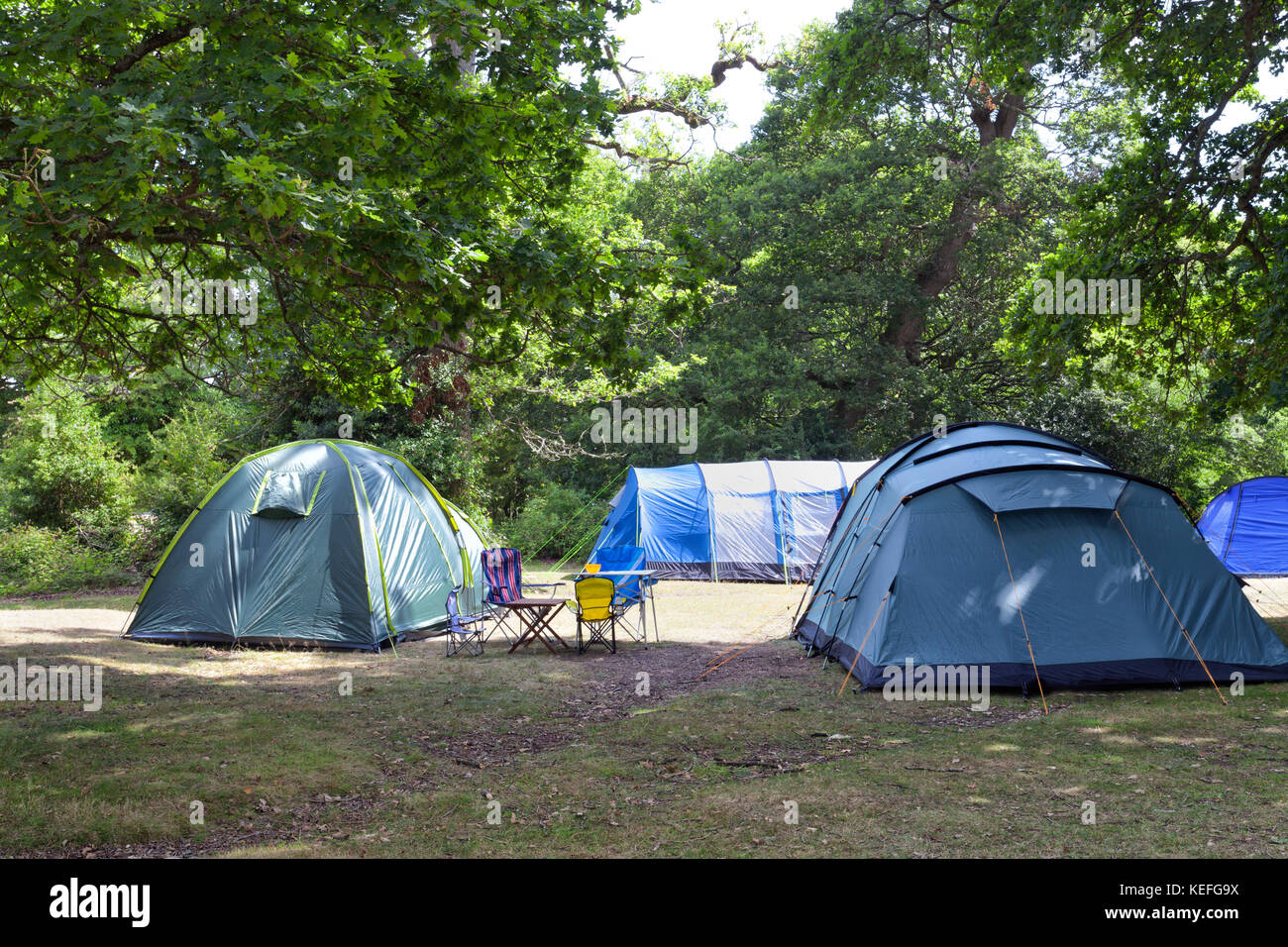 Il blu e il verde famiglia tende da campeggio con tavolo e sedie, sotto  alberi di quercia nel bosco campeggio, su una soleggiata giornata estiva  Foto stock - Alamy