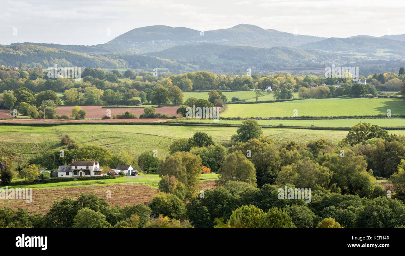 Una vista dal Comune Bringsty verso le colline di Malvern, Worcestershire, England, Regno Unito Foto Stock