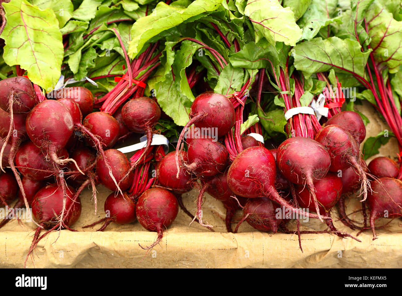 Bietole in vendita presso il mercato degli agricoltori Foto Stock