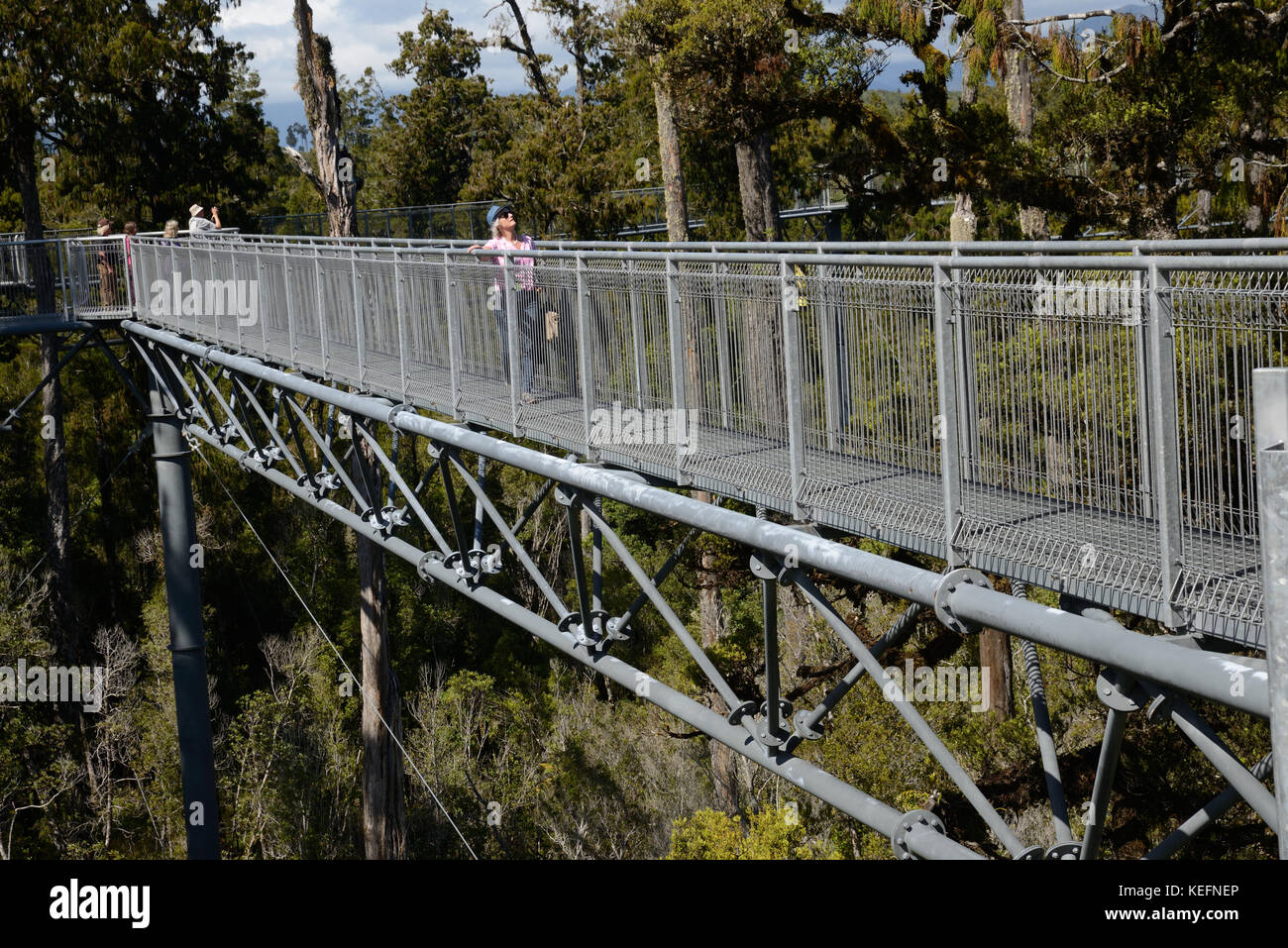 HOKITIKA, Nuova Zelanda, 10 marzo 2017: i visitatori godere la vista della foresta pluviale temperata e sulle montagne dal 20m alto Treetops a piedi. Foto Stock