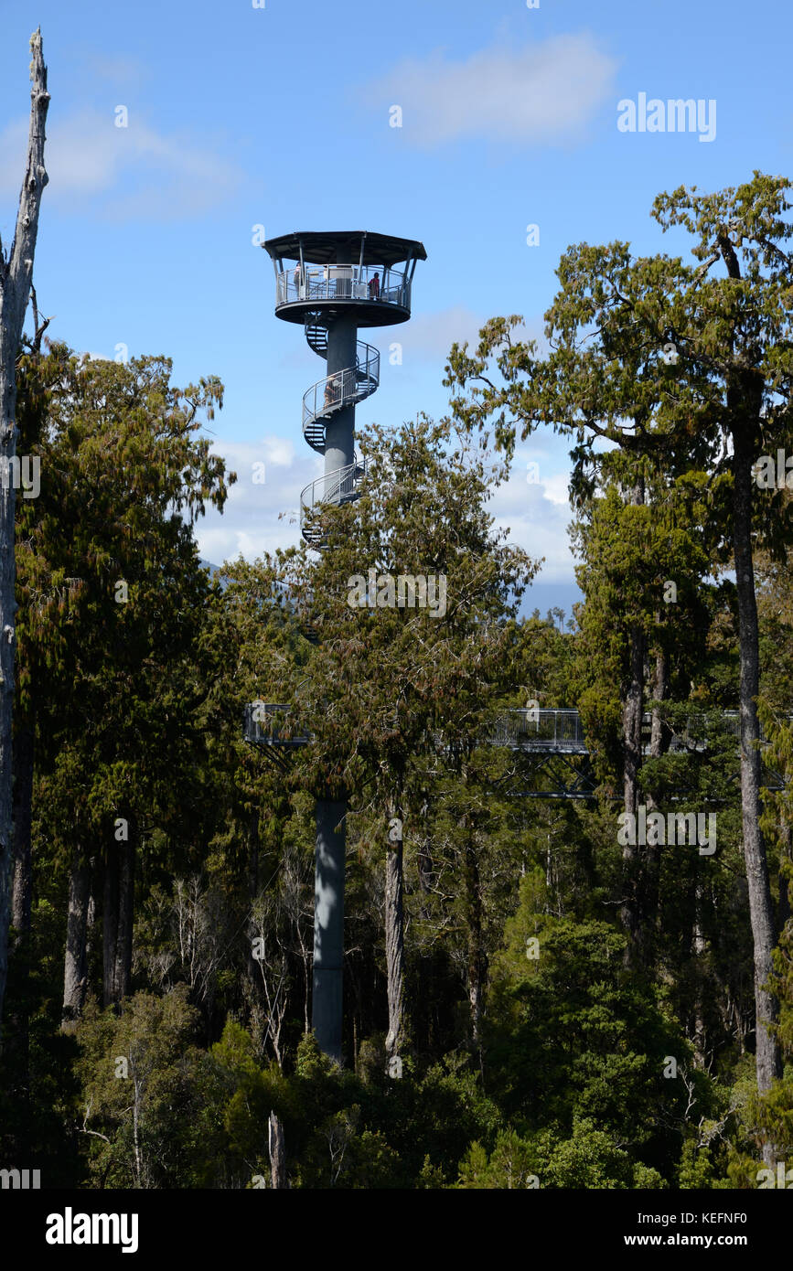 HOKITIKA, Nuova Zelanda, 10 marzo 2017: i visitatori godere la vista della foresta pluviale temperata e sulle montagne dal 67m torre alta sulle cime degli alberi a piedi. Foto Stock
