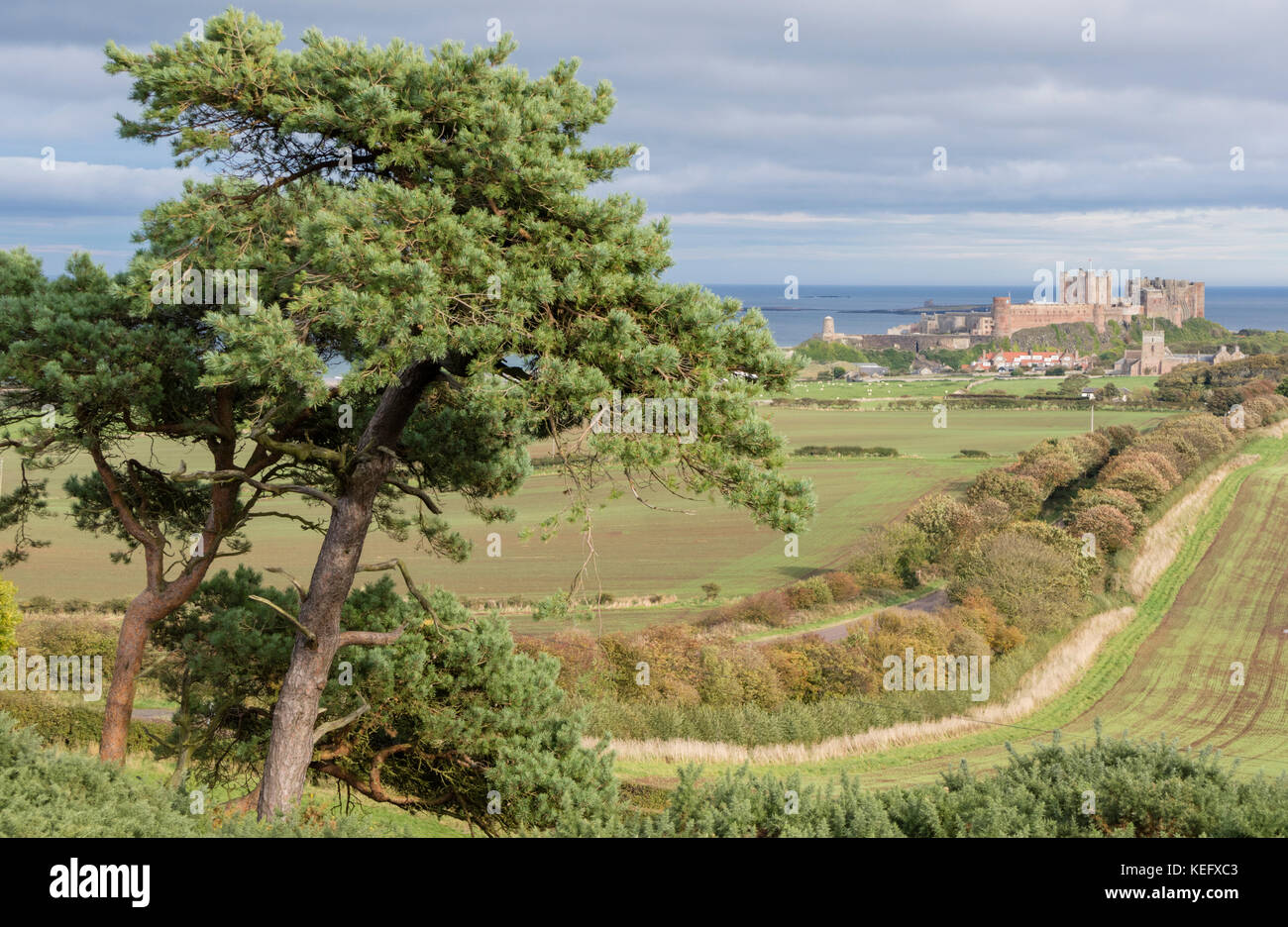 Il castello di Bamburgh, Bamburgh, Northumberland, England, Regno Unito Foto Stock