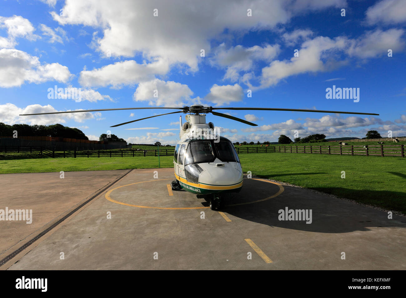 La Eurocopter Dauphin come365, uno del grande Nord ambulanze aria, in base all'Langwathby airfield, Penrith, Cumbria County, England, Regno Unito Foto Stock