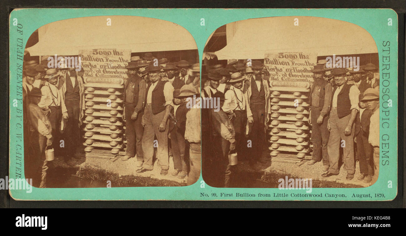 Primo bullion da poco pioppi neri americani Canyon. Agosto 1870, da C. W. Carter Foto Stock