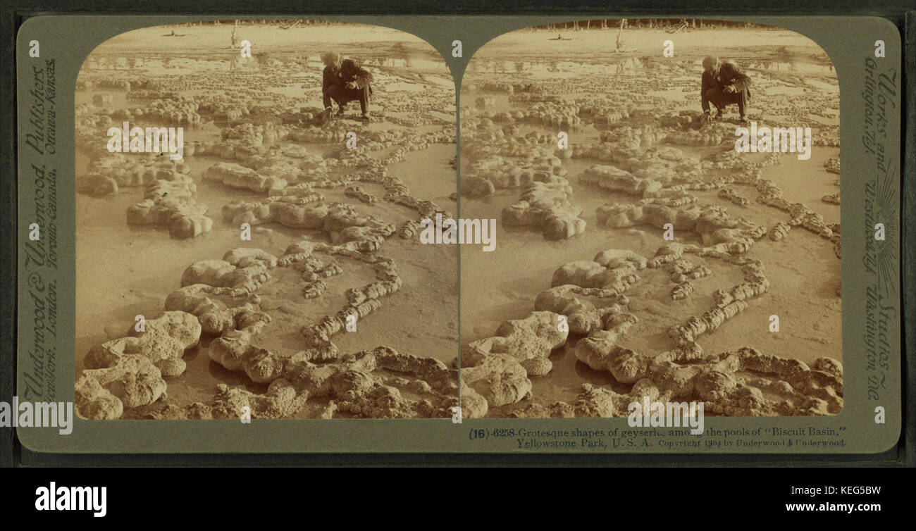 Questa fotografia, scattata da Underwood & Underwood, mostra le insolite forme grottesche formatesi nelle piscine termali di Biscuit Basin nel parco di Yellowstone. Queste formazioni naturali fanno parte delle caratteristiche geotermiche del parco. Foto Stock