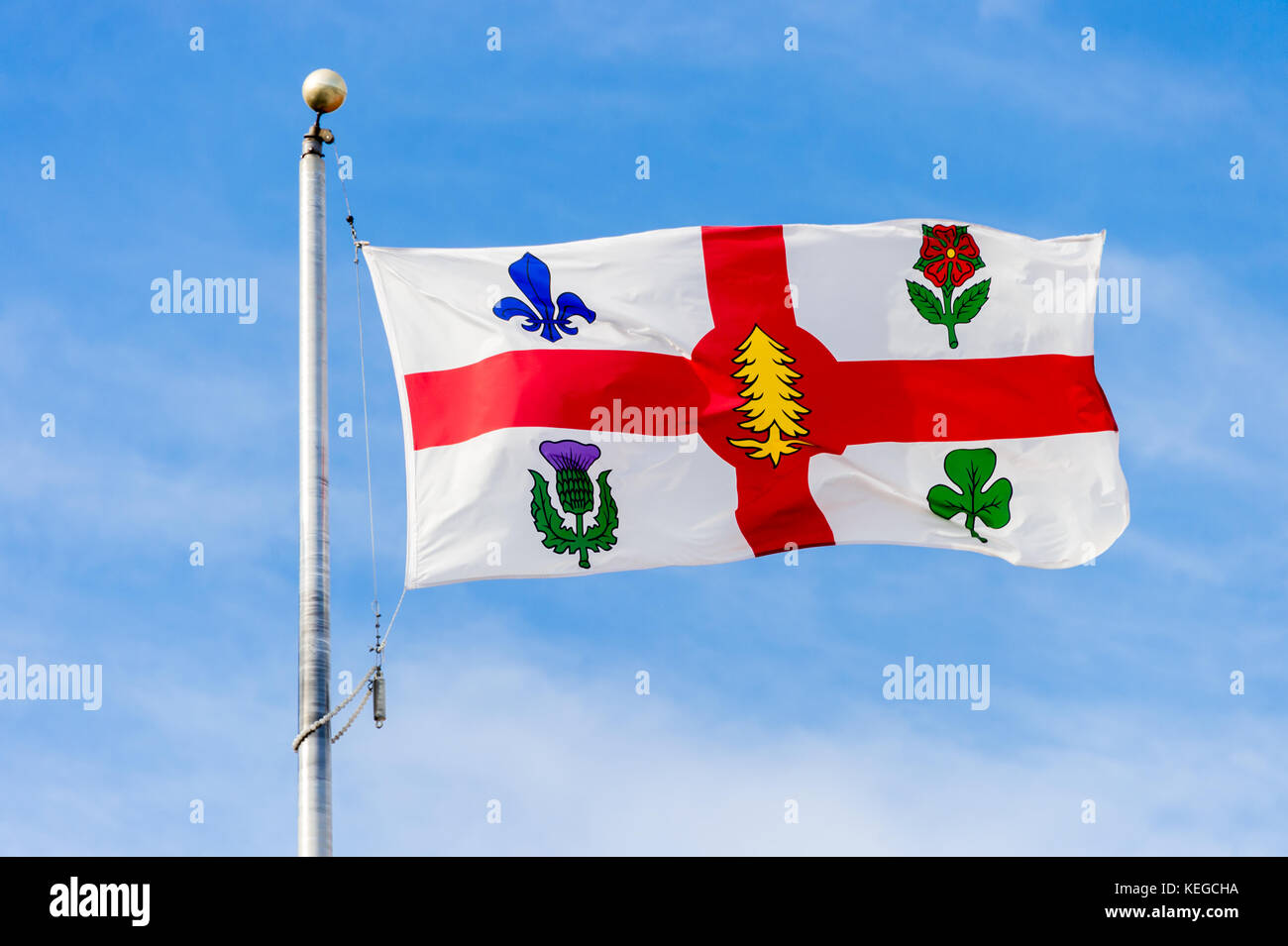 Nuovo flag di Montreal include ora un nuovo simbolo (pino bianco) per rappresentare le prime nazioni sulla bandiera (2017) Foto Stock