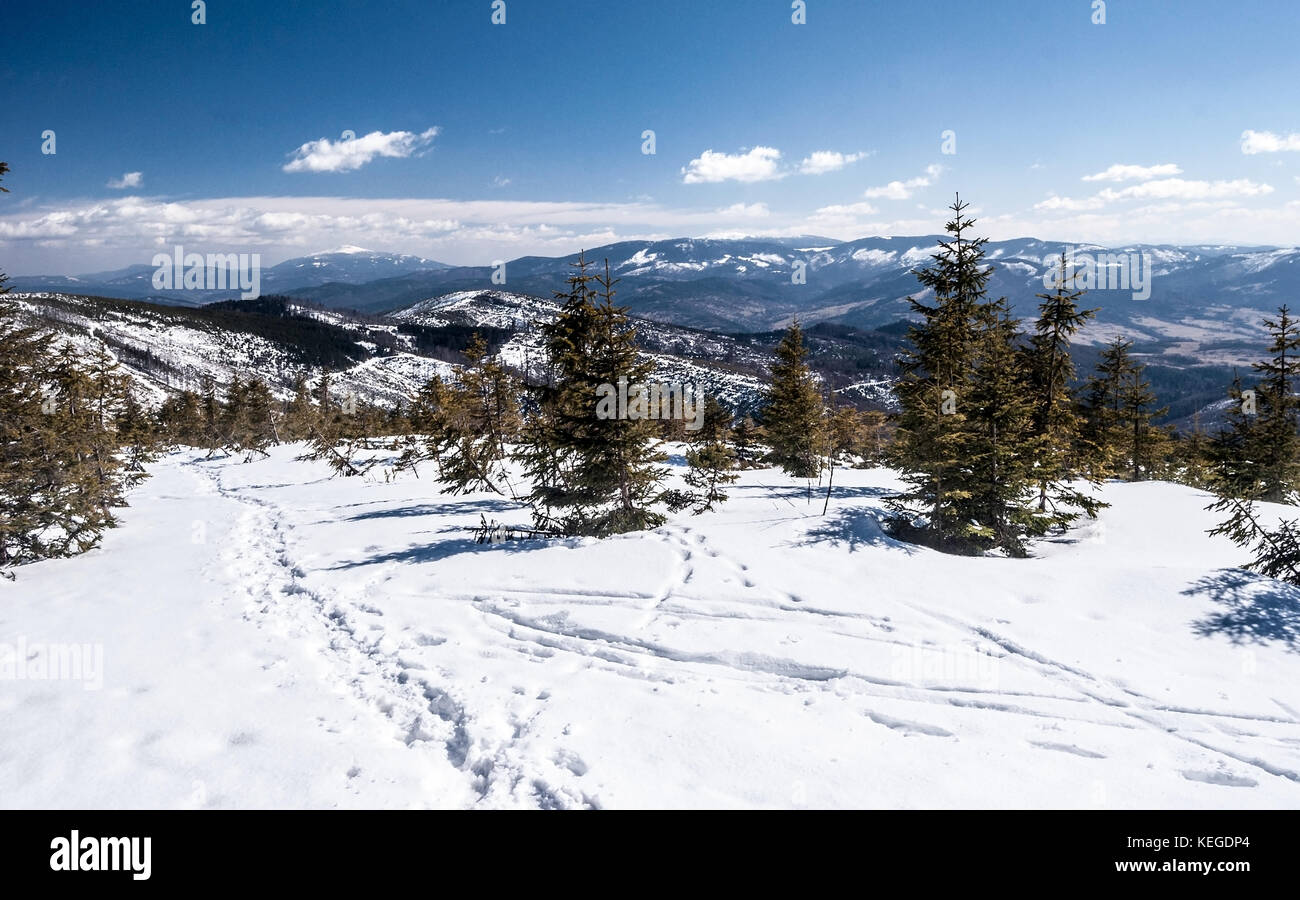 In inverno le montagne beskids panorama con il massimo grado di Babia Gora hill da magurka wislanska hill in Slesia beskids montagne in Polonia Foto Stock