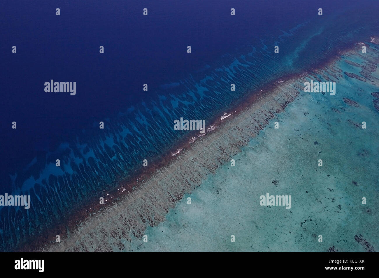 Vista aerea della barriera corallina del Belize meridionale, vicino allo Spit Gladden, che mostra le formazioni coralline di speroni e scanalature all'esterno della cresta della barriera corallina Foto Stock