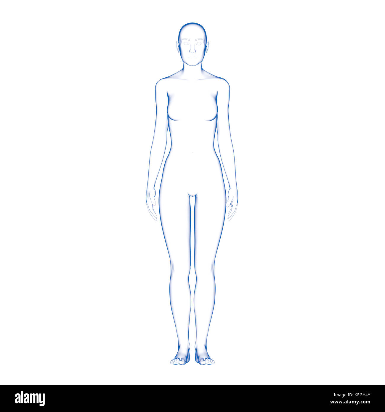 Human body shape immagini e fotografie stock ad alta risoluzione - Alamy