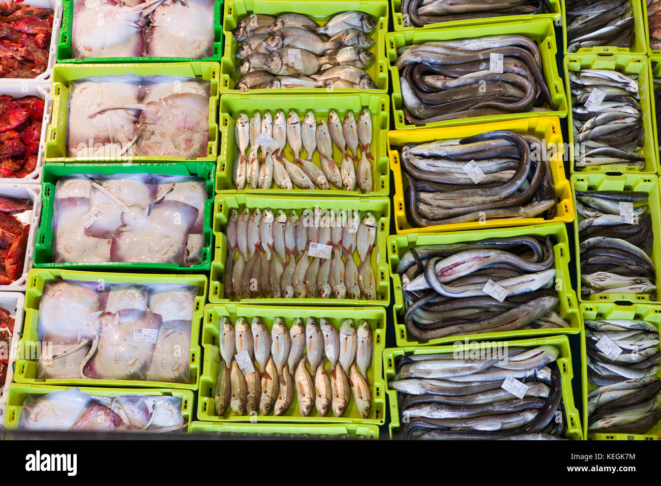 Aste con pesce appena pescato a Confradia de isole Pescadores de Luarca, confederazione di Luarca pescatori, Puerto Luarca, Spagna Foto Stock