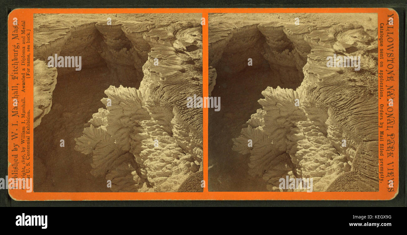 LeafFormInLimestone.2ndView,byI.W.Marshall Foto Stock