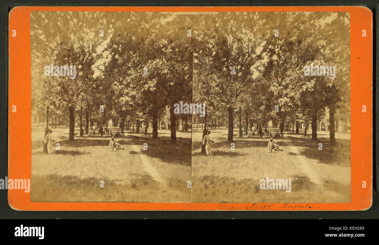 Green Street in Augusta GA, da J. A. Palmer Foto Stock