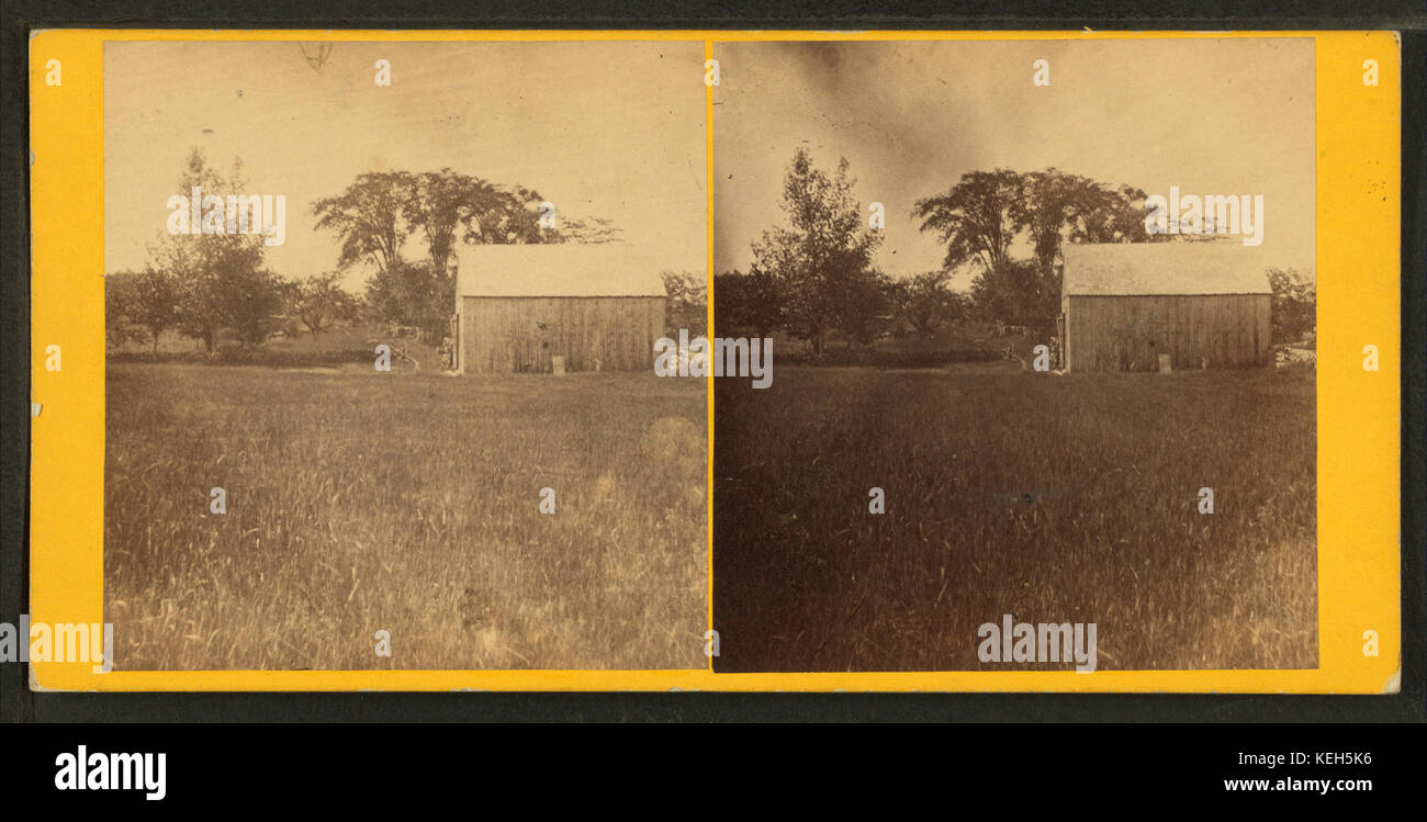 Questa immagine stereoscopica mostra un fienile e una fila di olmi lungo il lato est di una strada. Catturato dalla collezione Robert N. Dennis, offre un'istantanea dell'architettura rurale e del paesaggio nell'America dei primi anni del XX secolo. Foto Stock