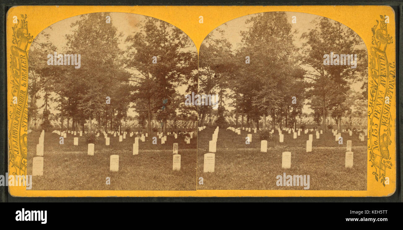 Arlington, Virginia (visualizzazione di righe di bianco lapidi), da Jarvis, J. F. (John F.), b. 1850 Foto Stock