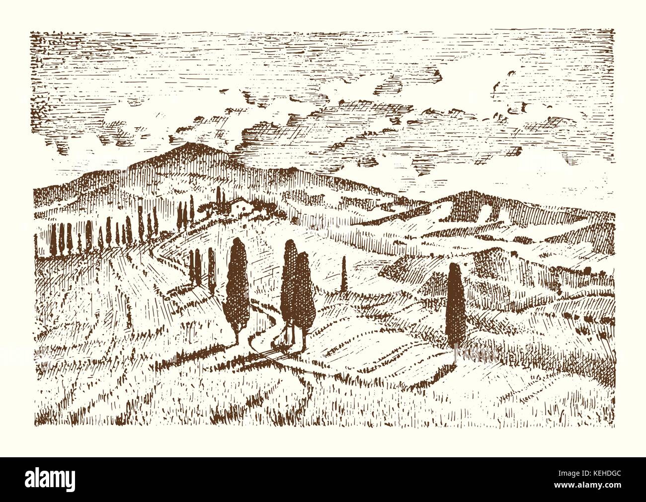 Incisi disegnati a mano nel vecchio disegno e stile vintage per etichetta. I campi di sfondo e cipressi. raccolta e haystacks. paesaggio rurale della Vigna o case rustiche. Illustrazione Vettoriale