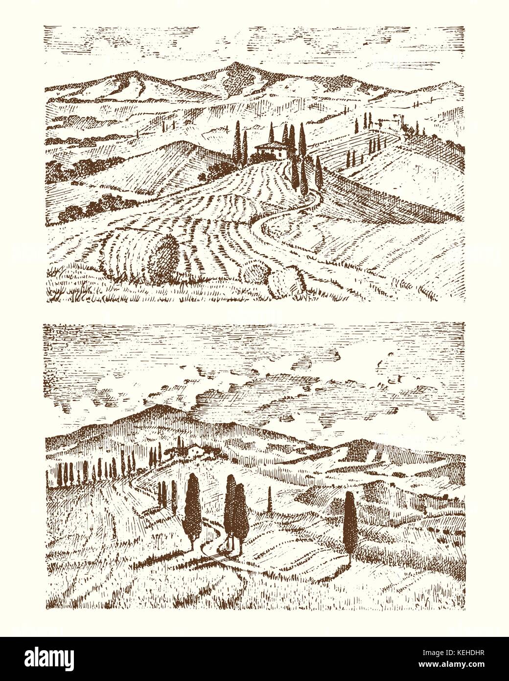 Incisi disegnati a mano nel vecchio disegno e stile vintage per etichetta. I campi di sfondo e cipressi. raccolta e haystacks. paesaggio rurale della Vigna o case rustiche. Illustrazione Vettoriale
