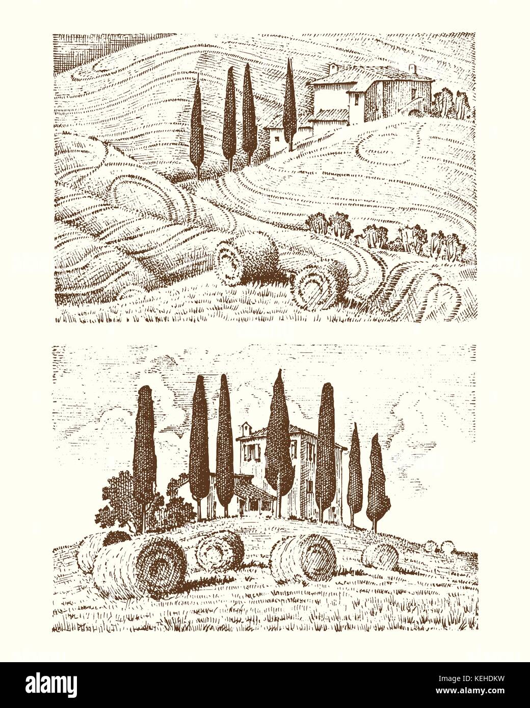 Incisi disegnati a mano nel vecchio disegno e stile vintage per etichetta. I campi di sfondo e cipressi. raccolta e haystacks. paesaggio rurale della Vigna o case rustiche. Illustrazione Vettoriale